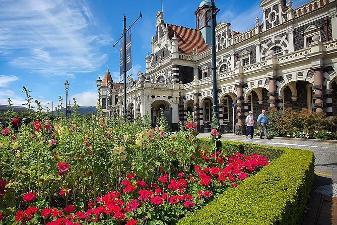 Iconic Shore Excursion: Dunedin City Highlights Tour - Who Should Book This Tour?