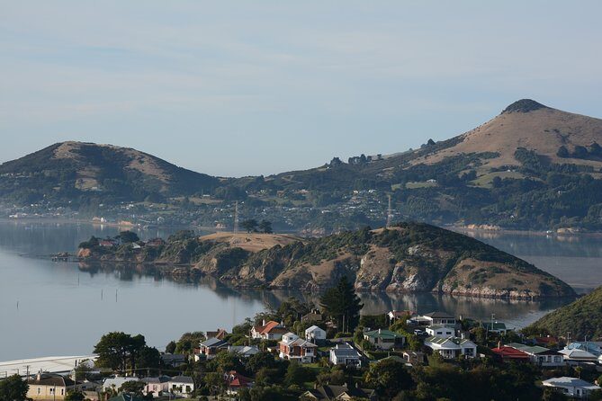 Iconic Wildlife Tour with Yellow Eyed Penguins & Royal Albatross - FAQ