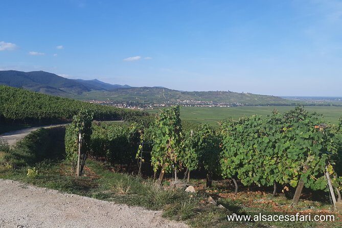 ICONICS Tour: 1/2 day on the Wine Route, visit of 2 Villages + Tasting. - Final Thoughts