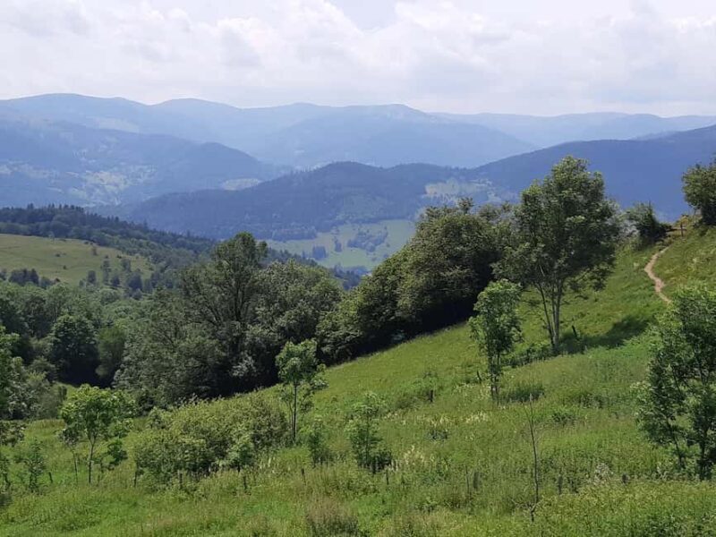 Iconics Typical villages & Haut Koenigsbourg castle - Final Thoughts