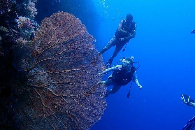 Icons of Dili: A Private Walking Tour - Who Will Benefit Most from This Tour?