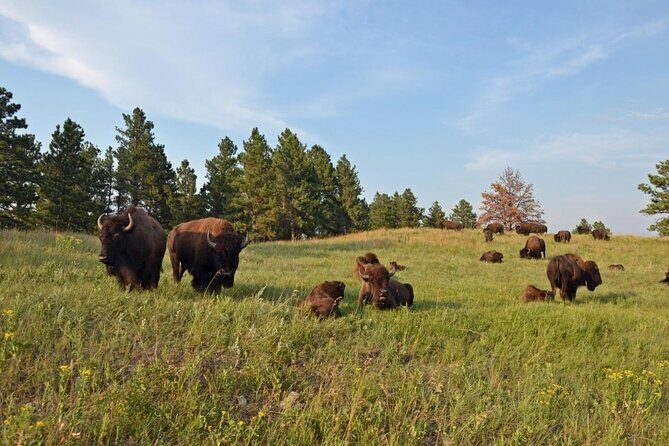 Icons of the West: Black Hills & Badlands 3-Day Tour - Key Points