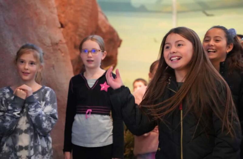 Idaho Falls: Museum of Idaho Entry Ticket - A Detailed Look at What You Can Expect