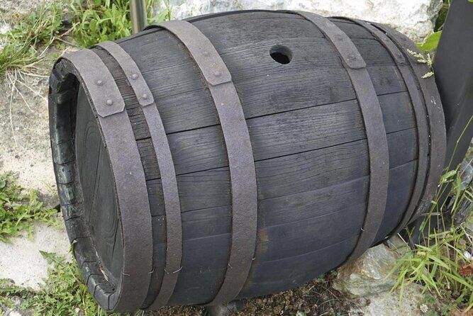 Idiazabal Cheese Farm and Basque Cider House Lunch from San Sebastian - An In-Depth Look at the Experience