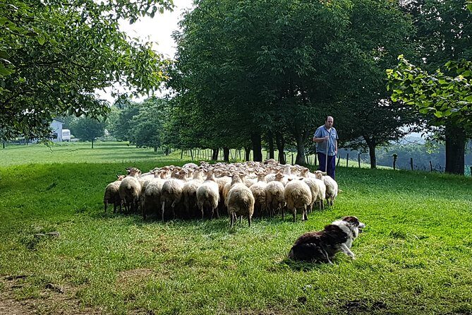 Idiazabal Cheese Farm and Basque Cider House Lunch from San Sebastian - FAQs