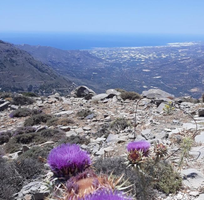 Ierapetra: Eastern Crete Nature Jeep Driving Tour - A Perfect Introduction to Crete’s Untouched East