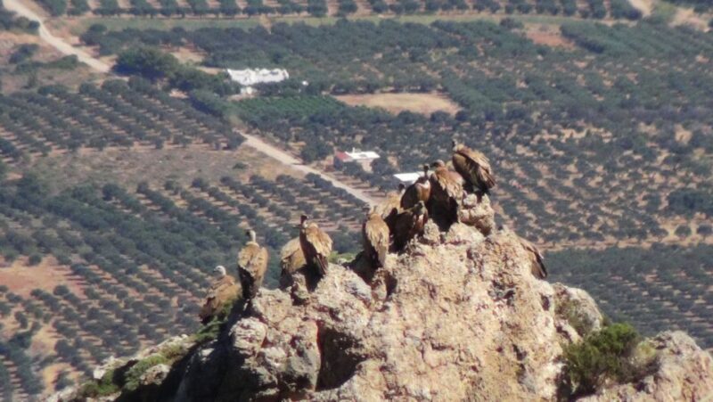 Ierapetra: Eastern Crete Nature Jeep Driving Tour - Exploring Stavrohori: A Mountain Village