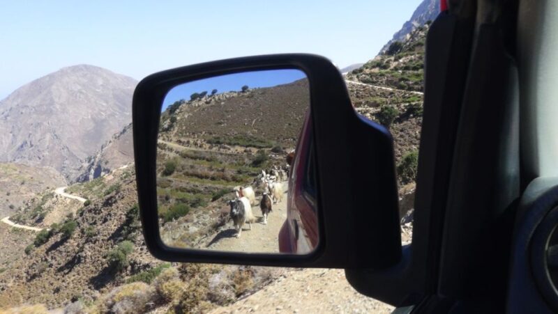 Ierapetra: Eastern Crete Nature Jeep Driving Tour - What the Reviews Say
