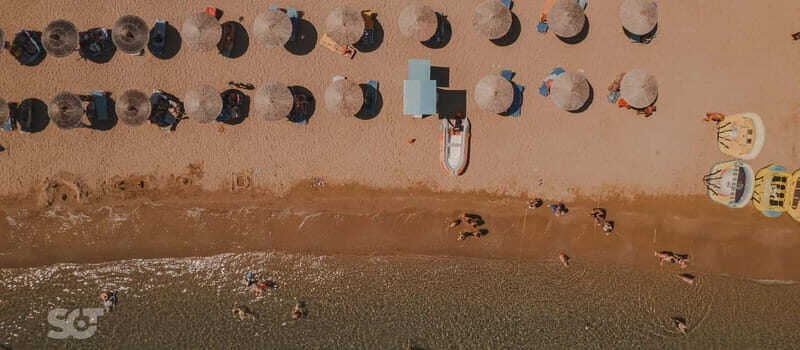 Ierapetra-Makrigialos: Vai Palm Beach, Moni Toplou & Sitia - A Full Breakdown of the Experience