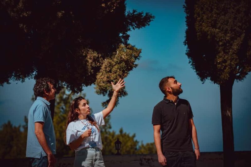 Ikaria Hike: Alama Spring - Key Points