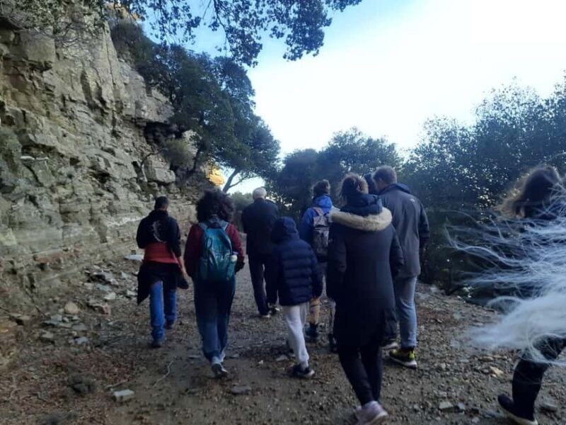 Ikaria: Hiking Tour on the Greek Blue Zone Island - Who Should Consider This Tour?