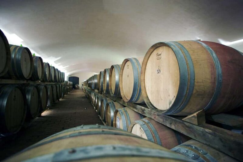 Il Molino di Grace: Vineyard & Cellar Tour with Wine Tasting - Key Points