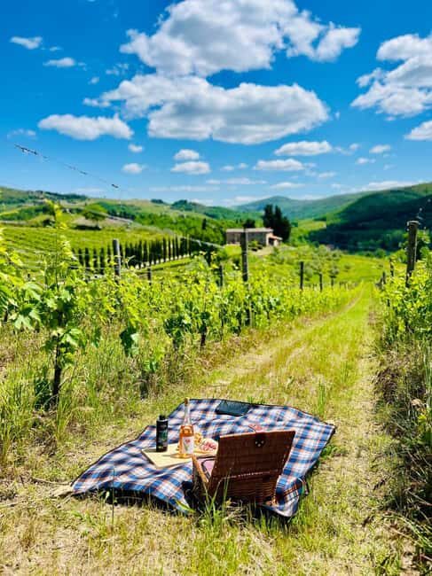 Il Molino di Grace: Vineyard Tour, Wine Tasting, and Picnic - The Practicalities