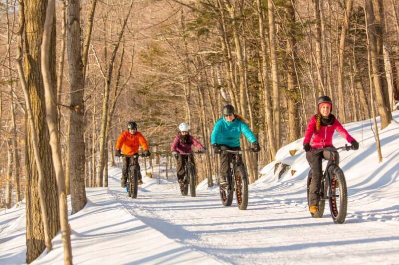 Îles-de-Boucherville: Park Entry w/ Fat-bike & Snowshoeing - The Wildlife and Natural Beauty