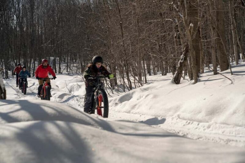 Îles-de-Boucherville: Park Entry with Fat-bike Rental - Final Thoughts