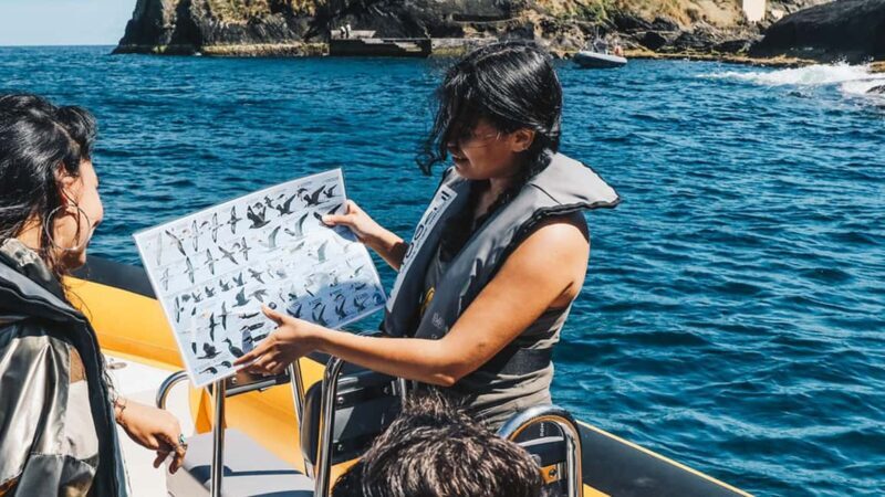 Ilhéu de Vila Franca: Guided Eco Boat Tour with Biologist - What Reviewers Have to Say
