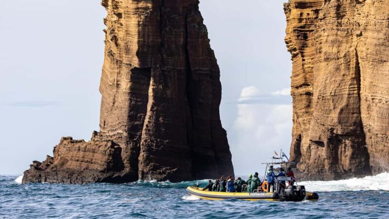Ilhéu de Vila Franca: Guided Eco Boat Tour with Biologist - The Sum Up