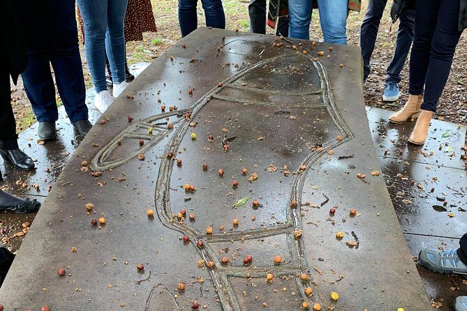 illi-Langi The Rocks Aboriginal Dreaming Tour - What’s Included and What to Bring