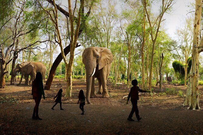 Illuminarium Atlanta - The Value and Pricing