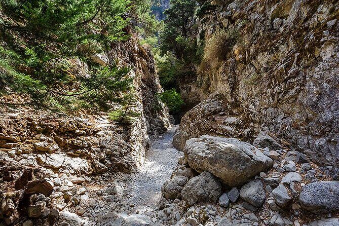 Imbros Gorge Guided Hike & Swim  Day Trip from Chania - Key Points