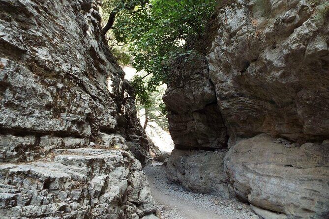 Imbros Gorge Tour From Rethymno - Who Is This Tour Best For?