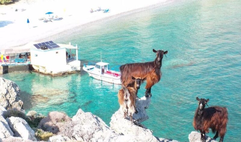 Imbros Gorge: Walk the Trail, Live the Story Private Tour - FAQ