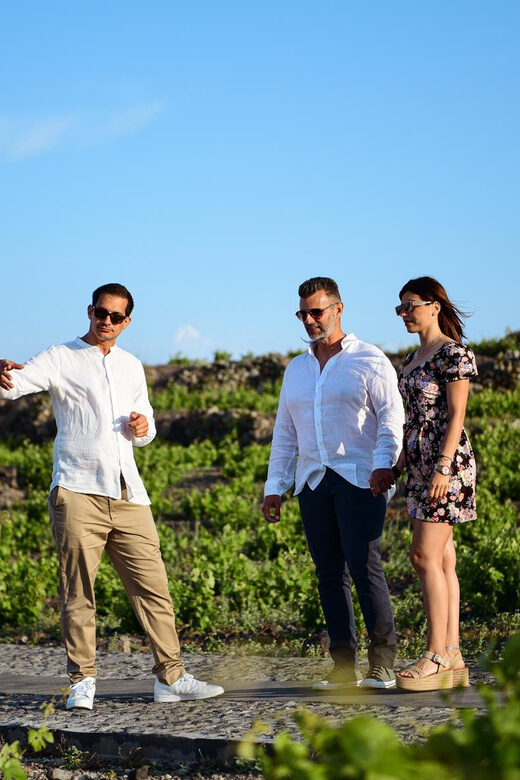 Imerovigli: Premium Wine Tasting with Caldera and Sea Views - Frequently Asked Questions
