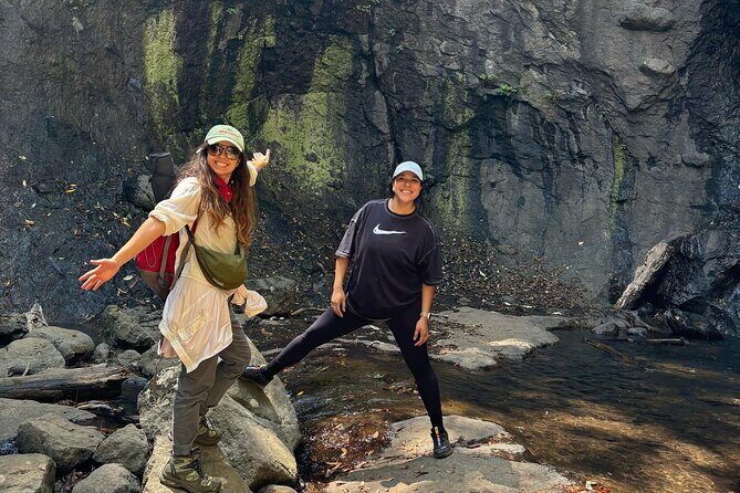 Immerse in the Nature: Deep Connection through Forest Bathing - Exploring the Forest Bathing Experience in Detail