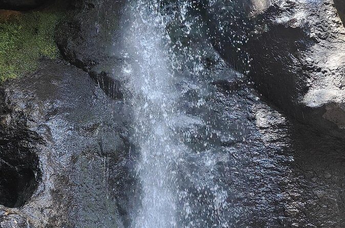 Immerse in the Nature: Deep Connection through Forest Bathing - Final Thoughts