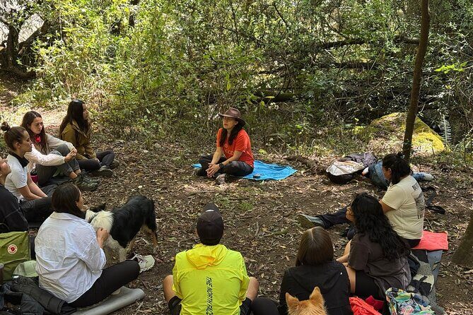 Immerse in the Nature: Deep Connection through Forest Bathing - FAQ