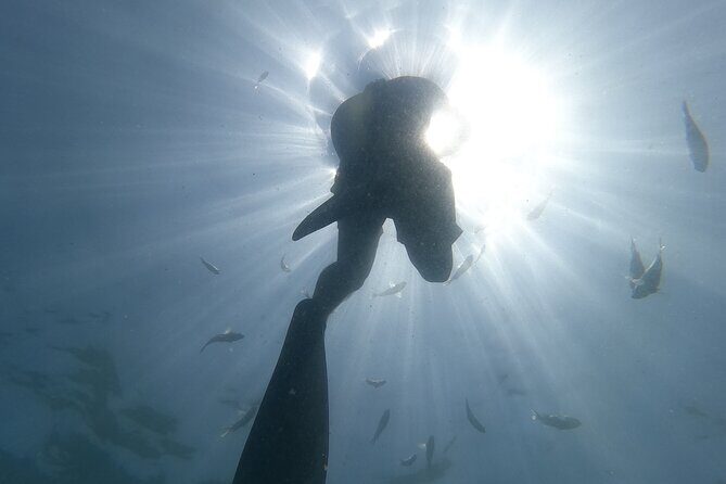 Enjoy paradise: Hidden Beach Snorkeling Adventure - The Itinerary and What You’ll Experience