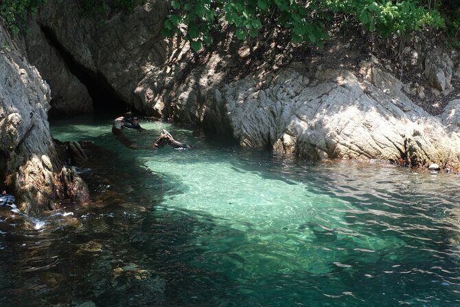 Enjoy paradise: Hidden Beach Snorkeling Adventure - Authenticity and Reviewer Feedback