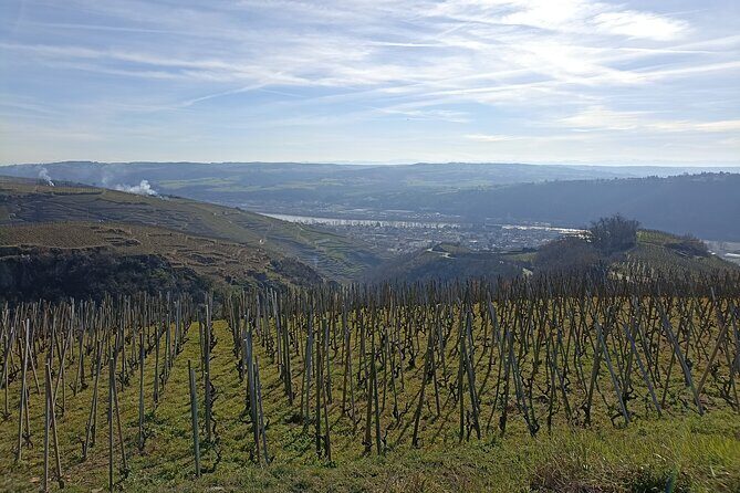 Immersion Domaine E.GUIGAL Visit wine cellars and tasting - An Inside Look at the Itinerary and What You Can Expect