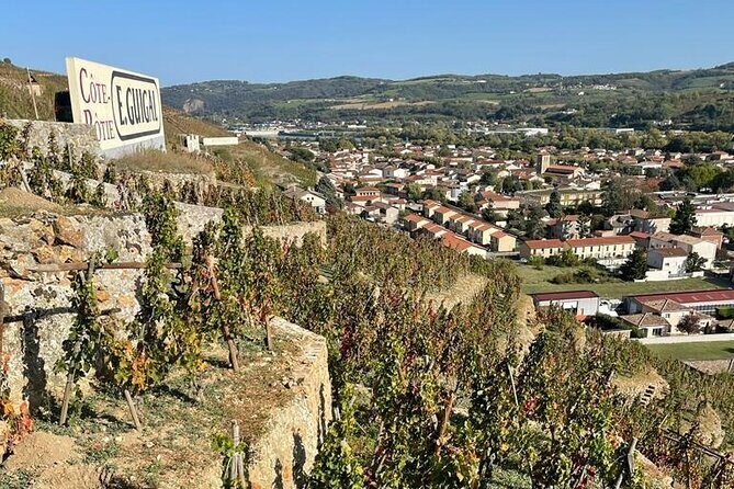 Immersion Domaine E.GUIGAL Visit wine cellars and tasting - The Practicalities: What You Need to Know
