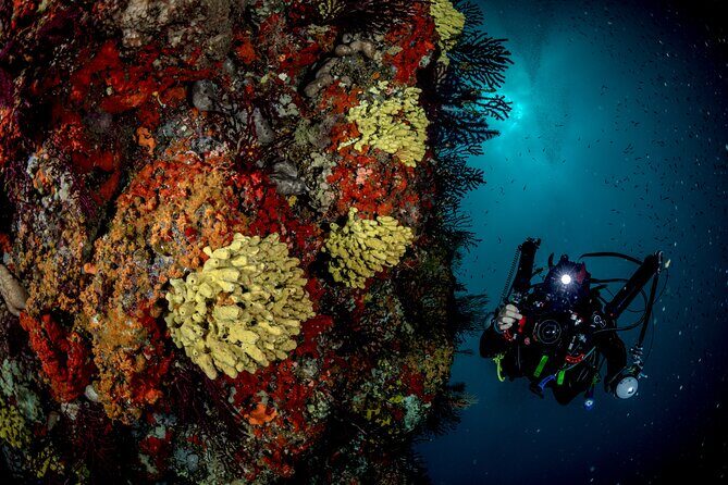 Immersion in Banco Santa Croce from Sorrento with Expert Guide - Final Thoughts: Who Should Book This?