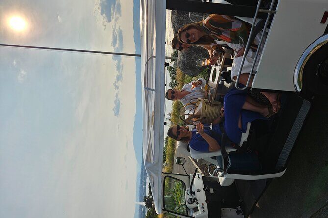 Immersion in the Geneva vineyards by tuktuk with tasting - FAQ