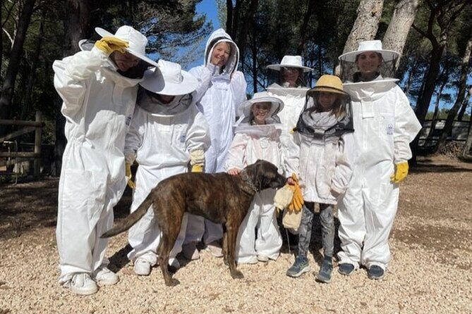 Immersion in the Life of a Hive and its Sacred Bees - Key Points