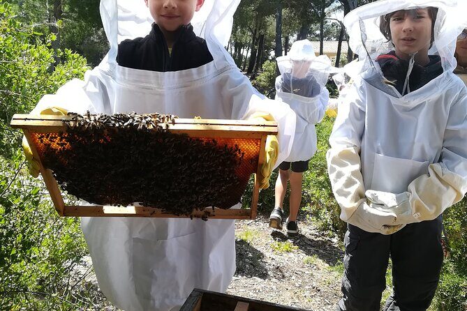 Immersion in the Life of a Hive and its Sacred Bees - Why This Tour Stands Out