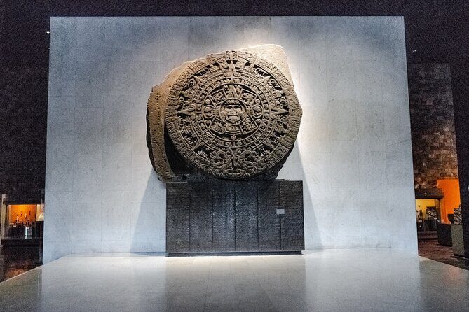 Immersive Experience at the Anthropology Museum - Practicalities and Value