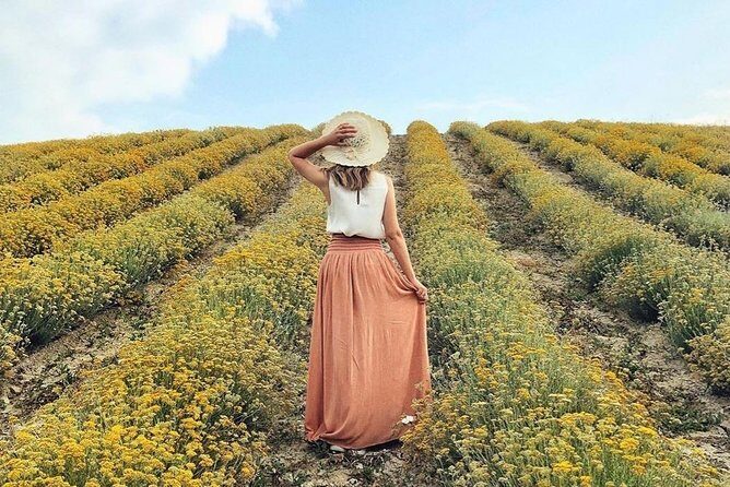 Immortelle farm island Krk - The Experience’s Strengths and Considerations