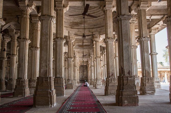 Imperial Cities and Sightseeing Tour of India - Introducing the Experience
