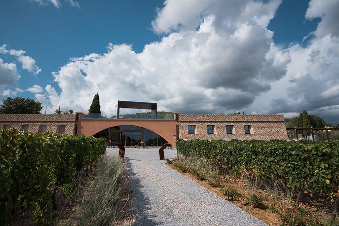 In a carriage among the vineyards, visit of the cellar, tasting of organic wines. - A Unique Tuscan Experience: Carriage Ride, Cellar Tour, and Organic Wine Tasting
