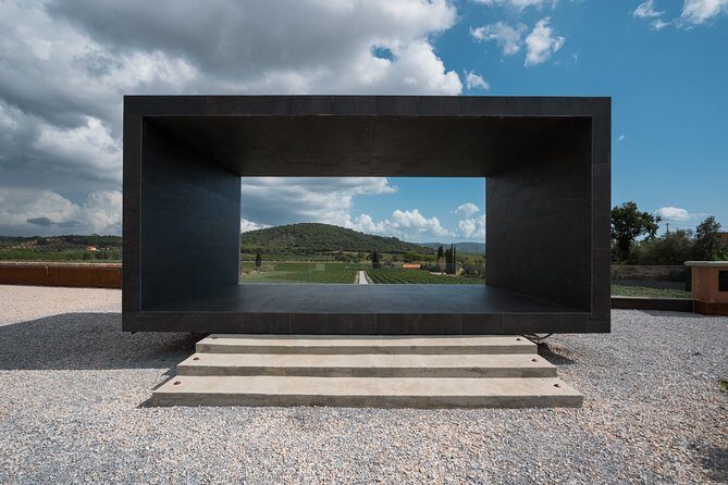 In a carriage among the vineyards, visit of the cellar, tasting of organic wines. - Practical Details: What You Need to Know