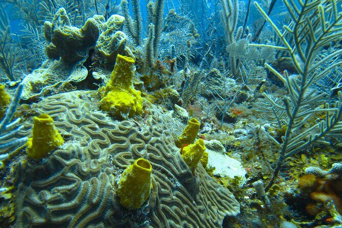 In Contact with Nature, Sian Ka'an Biosphere Boat Ride Tour - Discovering Sian Kaan: A UNESCO Treasure