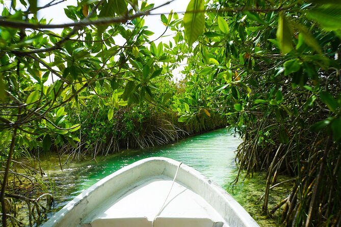 In Contact with Nature, Sian Ka'an Biosphere Boat Ride Tour - FAQ