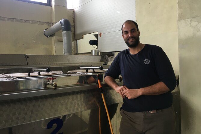 In Crete Discover the miracle of Olive Oil and Organic Fruits - A Deep Dive into the Olive Oil Experience
