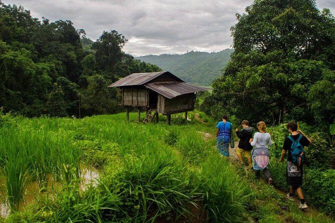 In French: private day trip to Doi Inthanon (hikes and tours) - Who Will Love This Tour?