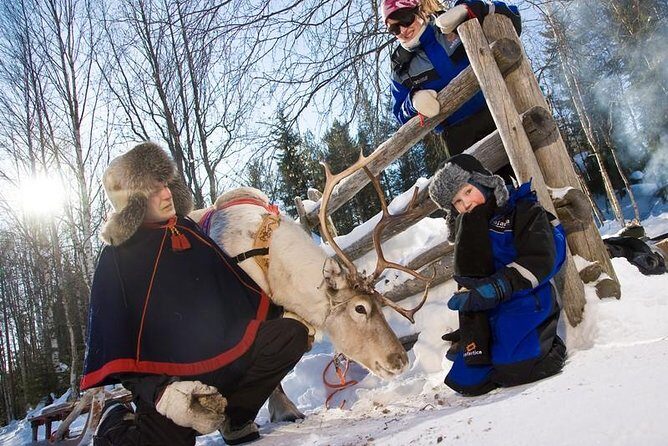 In Pursuit of Reindeer - Snowmobile safari to reindeer farm in Rovaniemi - A Deep Dive into the Tour Experience