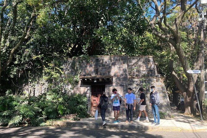 In the Footsteps of Frida Kahlo and Diego: Coyoacan and San Angel - Authentic Feedback: What Past Travelers Say