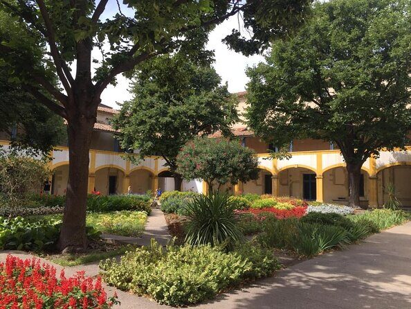 In the footsteps of Van Gogh in Provence from Avignon - Key Points